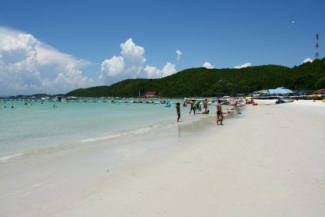 Viewtalay services location appartement studio pattaya